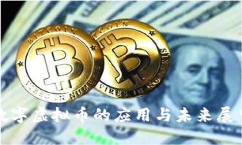 数字虚拟币的应用与未来展望