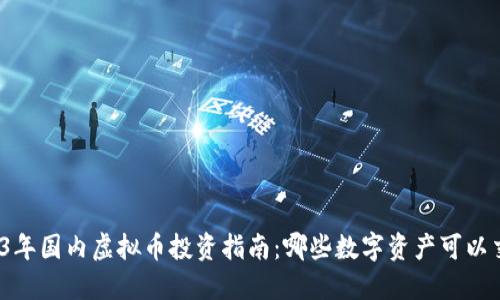 2023年国内虚拟币投资指南:哪些数字资产可以交易?