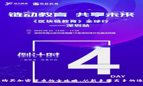 新加坡购买加密货币的全攻略：从新手到高手的逐步引导