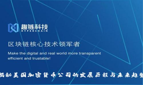 揭秘美国加密货币公司的发展历程与未来趋势