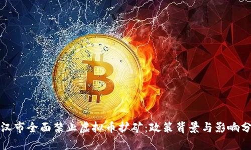 武汉市全面禁止虚拟币扩矿:政策背景与影响分析
