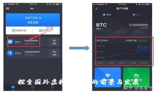 探索国外虚拟币社区的前景与发展