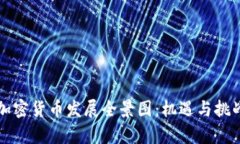 中国加密货币发展全景图:机遇与挑战并存
