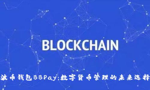 波币钱包BBPay:数字货币管理的未来选择