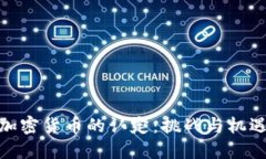 加密货币的认定:挑战与机遇