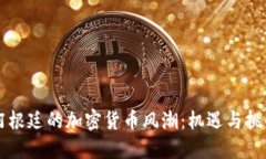 阿根廷的加密货币风潮:机遇与挑战