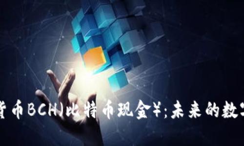 探索加密货币BCH(比特币现金):未来的数字货币新星
