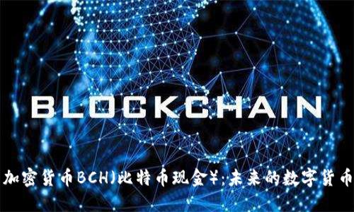 探索加密货币BCH(比特币现金):未来的数字货币新星