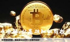 虚拟币全解：从基础知识到投资策略
