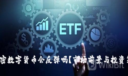 2024年加密数字货币会反弹吗?市场前景与投资策略全解析