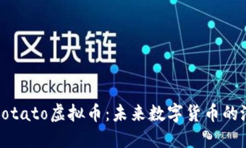 深入探索Potato虚拟币:未来数字货币的潜力与挑战