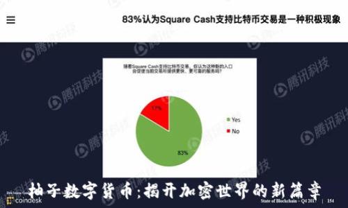 柚子数字货币:揭开加密世界的新篇章