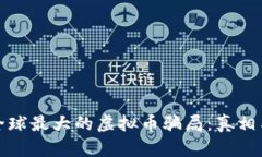 揭秘全球最大的虚拟币骗局:真相与教训
