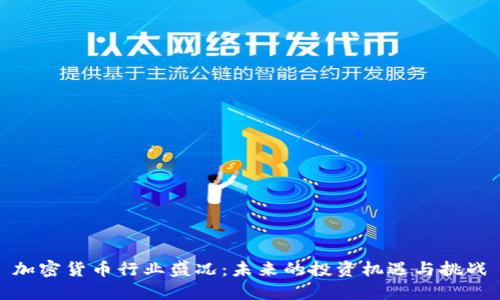 加密货币行业盛况:未来的投资机遇与挑战