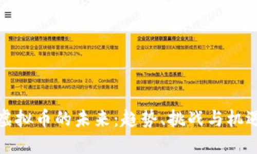 虚拟币的未来：趋势、挑战与机遇