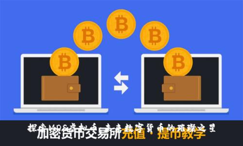 探索MDS虚拟币：未来数字货币的璀璨之星