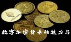 探索数字加密货币的魅力与未来