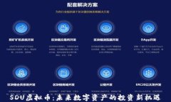 SDU虚拟币:未来数字资产的投资新机遇