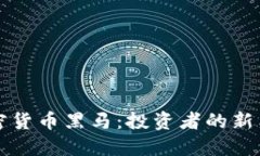 加密货币黑马:投资者的新希望
