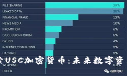 深入探索USC加密货币:未来数字资产的新星