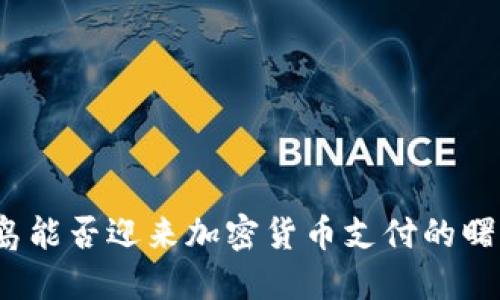 冰岛能否迎来加密货币支付的曙光？