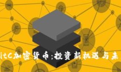 揭秘BitC加密货币:投资新机遇与未来展望