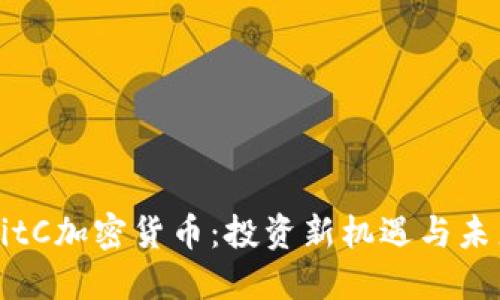 揭秘BitC加密货币:投资新机遇与未来展望