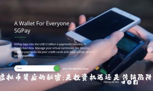 虚拟币背后的秘密:是投资机遇还是传销陷阱?