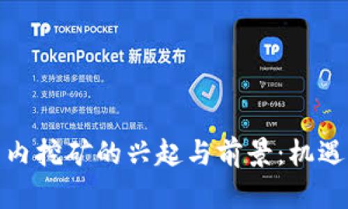 加密货币国内挖矿的兴起与前景:机遇与挑战并存