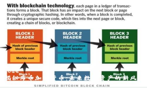 code
揭秘布币加密货币:未来数字资产的新风口