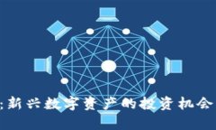 VXT虚拟币:新兴数字资产的投资机会与风险解析