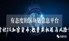 解密被IG加密货币：投资新机遇与风险分析