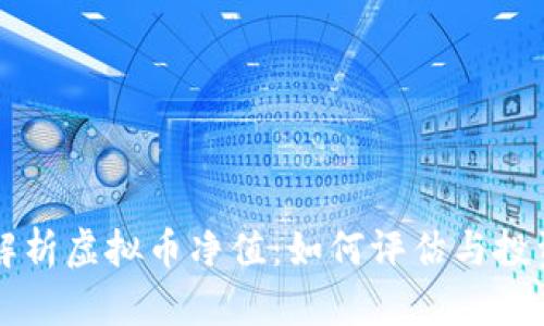 深度解析虚拟币净值:如何评估与投资决策