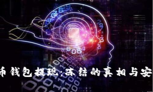 虚拟币钱包提现:冻结的真相与安全策略