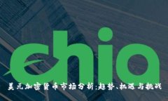 美元加密货币市场分析:趋势、机遇与挑战