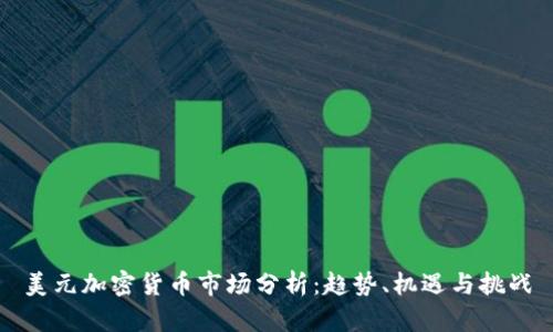 美元加密货币市场分析:趋势、机遇与挑战