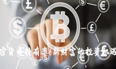 解密加密货币持有率:新财富的投资机遇与风险