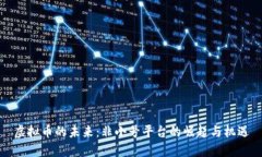 虚拟币的未来：非小号平台的崛起与机遇
