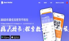 加密货币持有账户增长：探索数字资产的崛起与