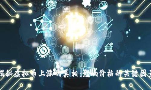 揭秘虚拟币上涨的真相:影响价格的关键因素