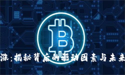 虚拟币暴涨:揭秘背后的驱动因素与未来发展趋势