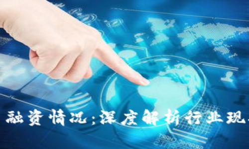 加密货币平台融资情况:深度解析行业现状与未来趋势
