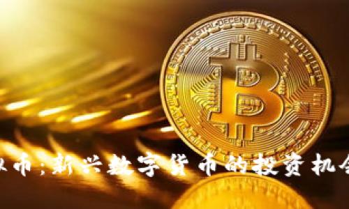 REK虚拟币:新兴数字货币的投资机会与挑战