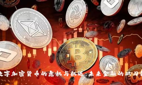 数字加密货币的危机与机遇:未来金融的双刃剑