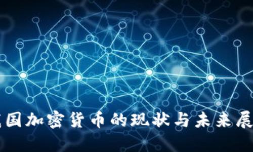 我国加密货币的现状与未来展望