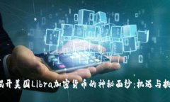 揭开美国Libra加密货币的神秘面纱:机遇与挑战
