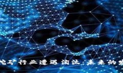 海南的虚拟币挖矿行业遭遇淘汰：未来的发展与