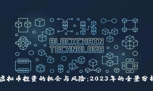 虚拟币投资的机会与风险:2023年的全景分析