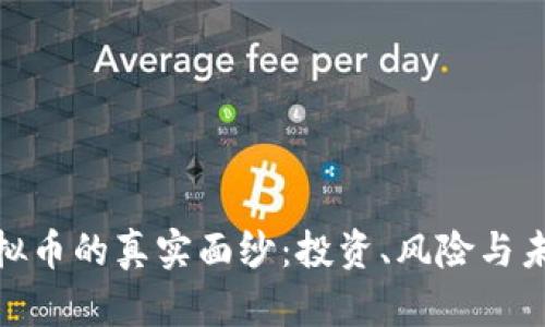 揭开虚拟币的真实面纱：投资、风险与未来机遇