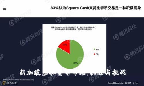 新加坡虚拟货币市场:机遇与挑战